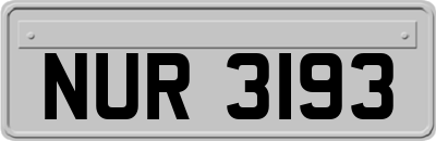 NUR3193