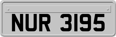 NUR3195