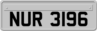 NUR3196