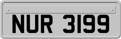 NUR3199