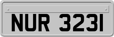 NUR3231