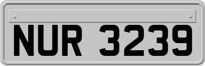 NUR3239