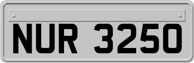 NUR3250