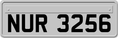 NUR3256