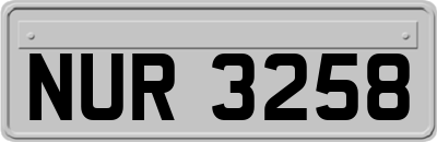 NUR3258