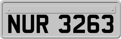 NUR3263