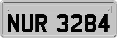 NUR3284