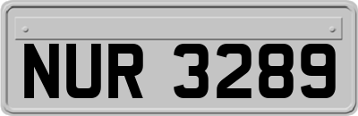 NUR3289