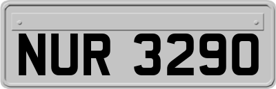 NUR3290