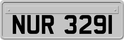 NUR3291