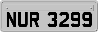 NUR3299