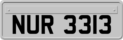 NUR3313