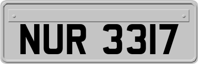 NUR3317