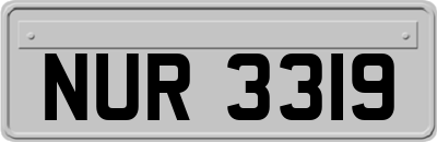 NUR3319