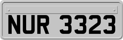 NUR3323