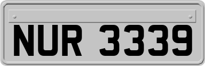 NUR3339