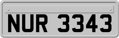 NUR3343