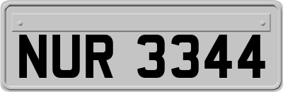NUR3344