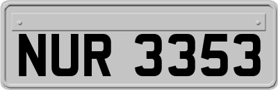 NUR3353