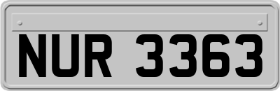 NUR3363