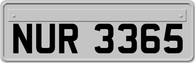 NUR3365