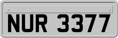 NUR3377