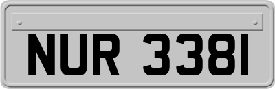NUR3381