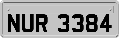NUR3384