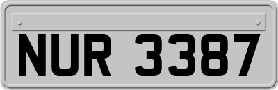 NUR3387