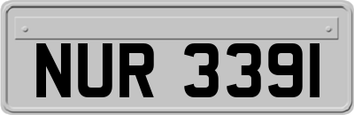 NUR3391