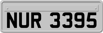 NUR3395