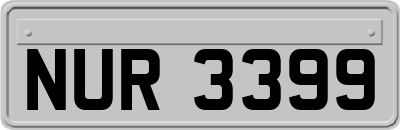 NUR3399