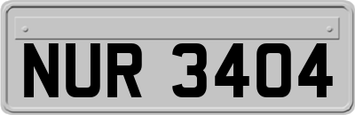 NUR3404