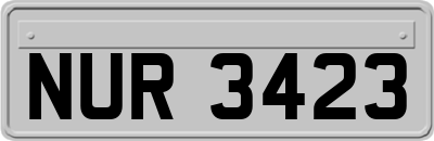 NUR3423