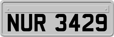 NUR3429