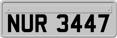 NUR3447