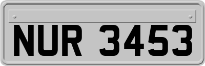 NUR3453