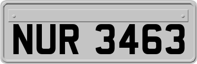 NUR3463