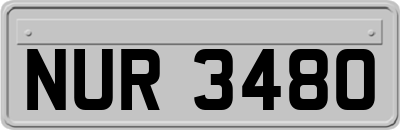 NUR3480