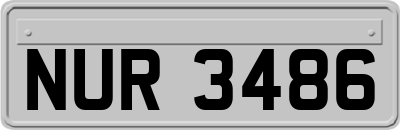 NUR3486