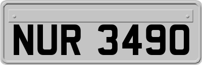 NUR3490