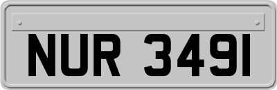 NUR3491