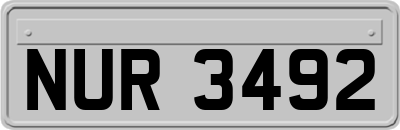 NUR3492
