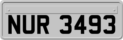NUR3493