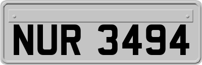 NUR3494