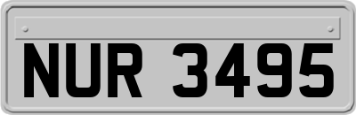 NUR3495