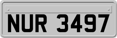 NUR3497