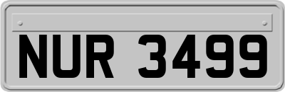 NUR3499