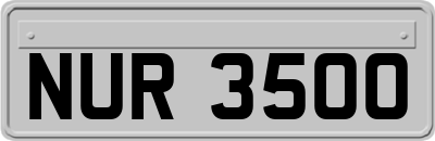 NUR3500