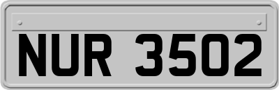 NUR3502
